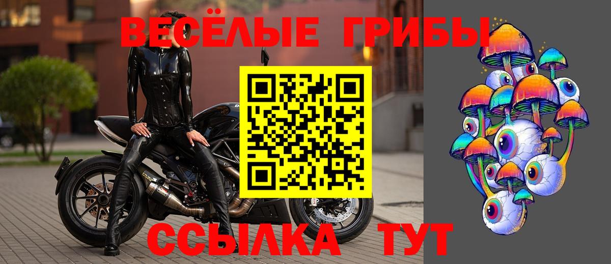 Орёл  Псилоцибиновые грибы GOLDEN TEACHER  хочу   Вход с VPN  Псилоцибиновые грибы мицелий 